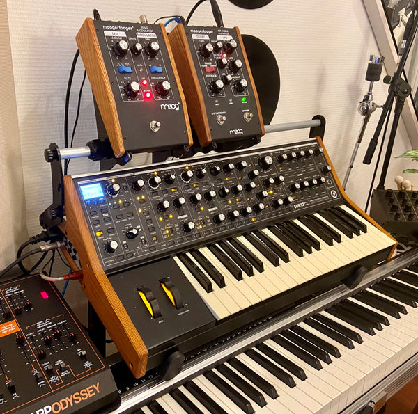 Two moogerfooger pedals on KVgear SubPiggy stand